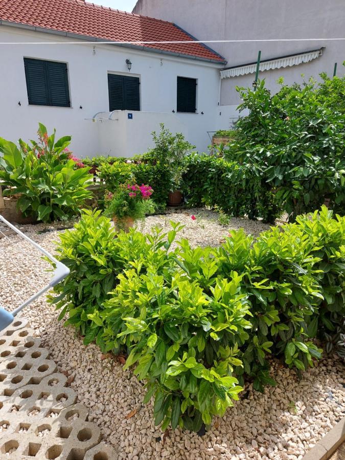 Apartments Jelicic บีโอกราดนาโมรู ภายนอก รูปภาพ